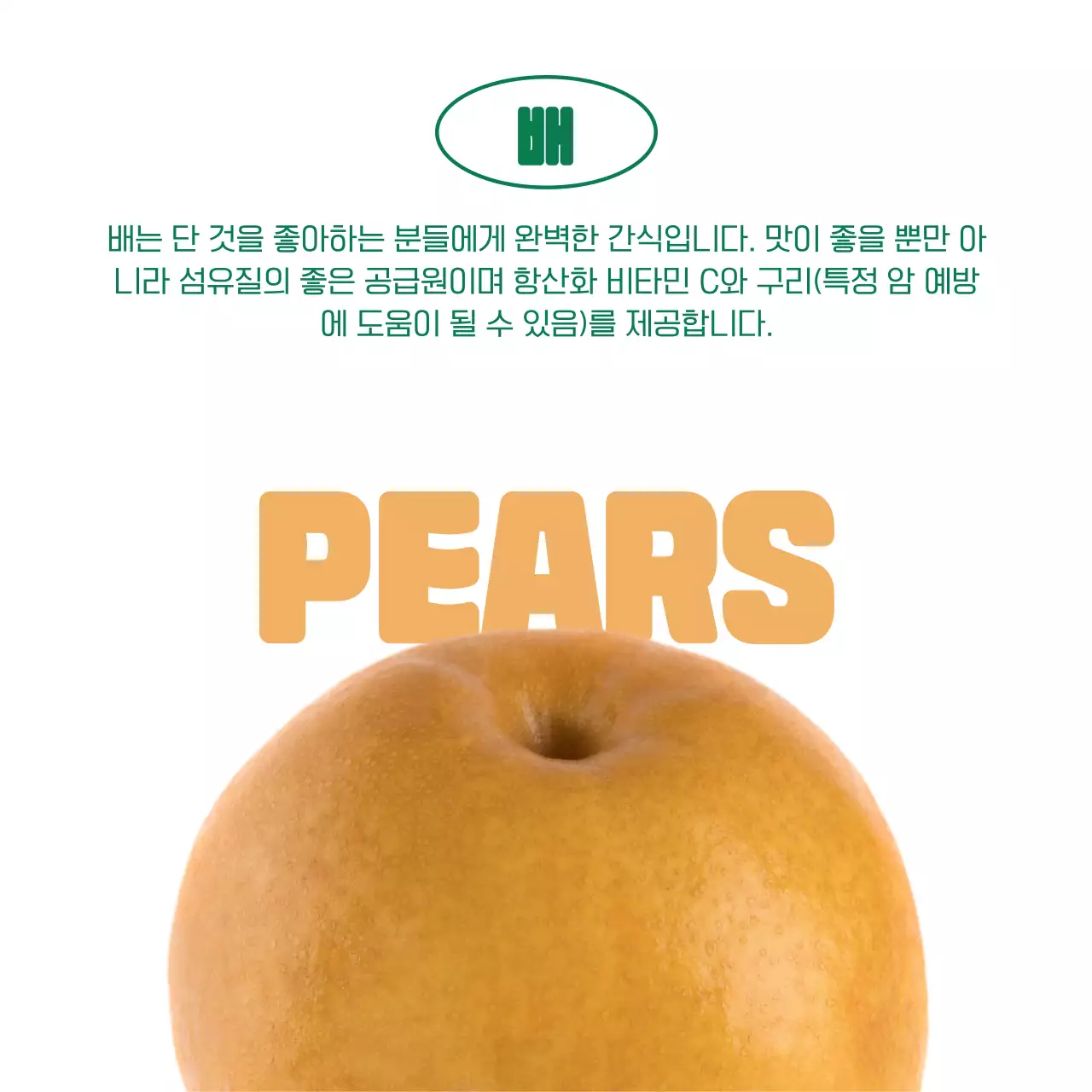 초록색의 심플한 제철과일 홍보