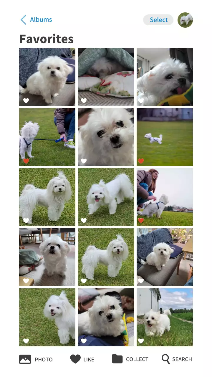 화이트 컬러의 심플한 갤러리 앨범