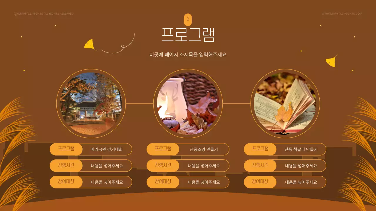 갈색과 노란색의 감성적인 가을 야경 축제