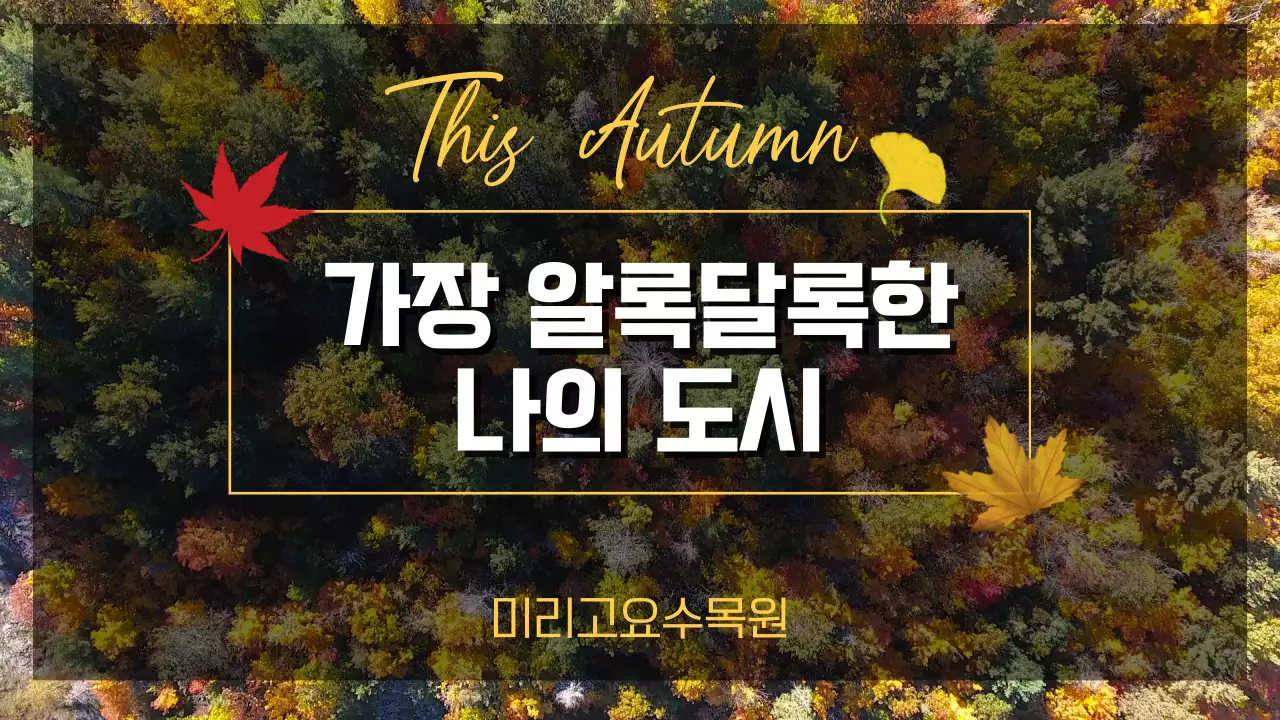 노랑색의 따뜻한 단풍놀이 홍보