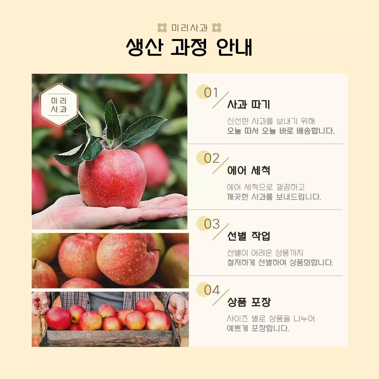 베이지 컬러에 옐로우 컬러로 포인트를 준 깔끔하고  심플한 사과 선물세트