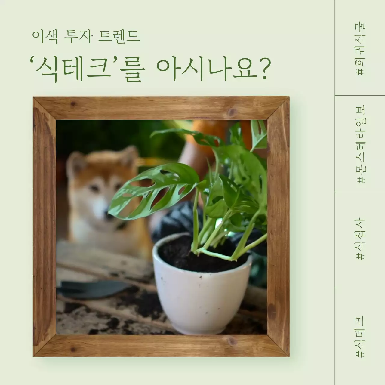 초록색 배경의 심플한 식물 재테크 소개