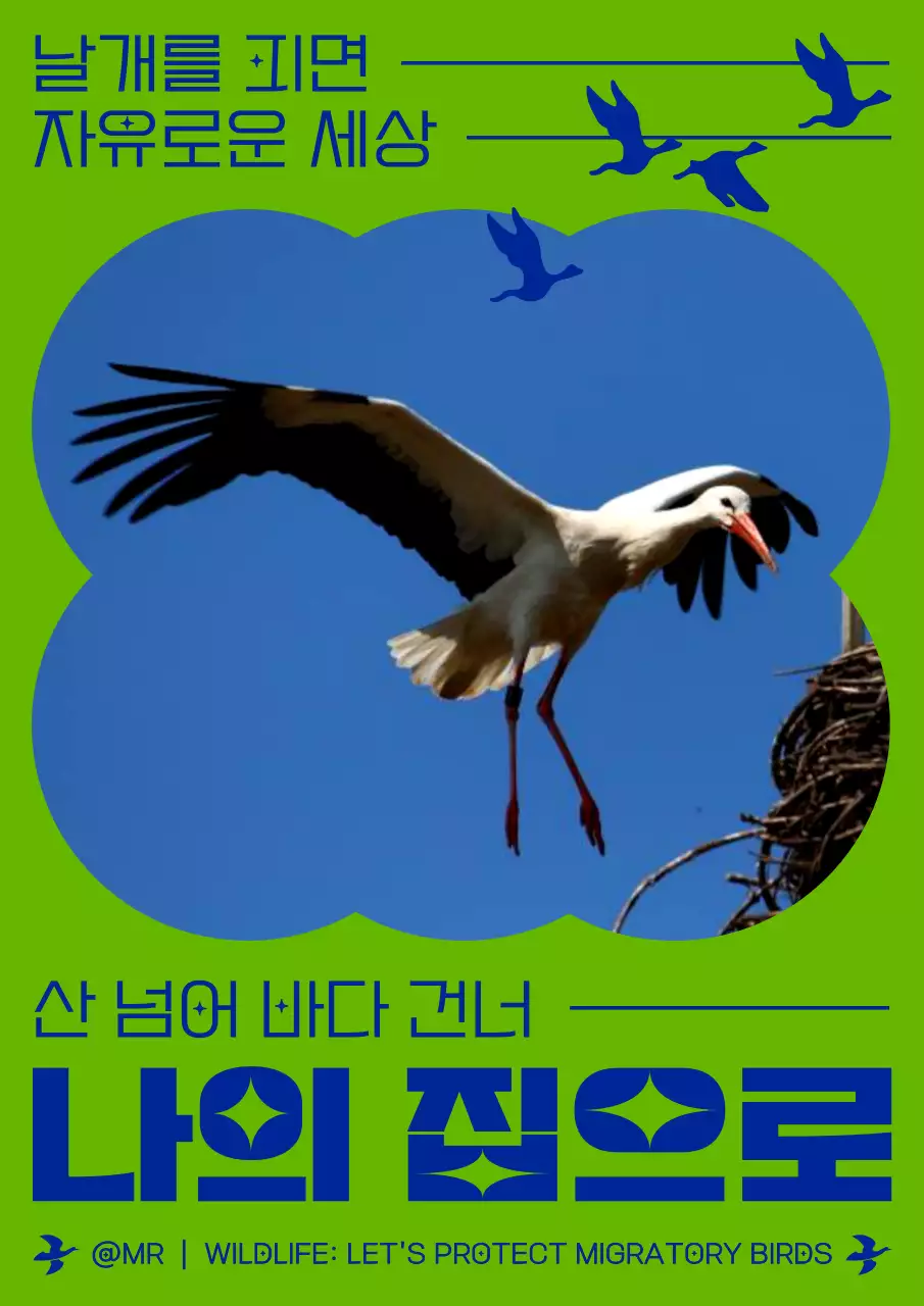 연두와 남색의 심플한 철새 보호 홍보 포스터