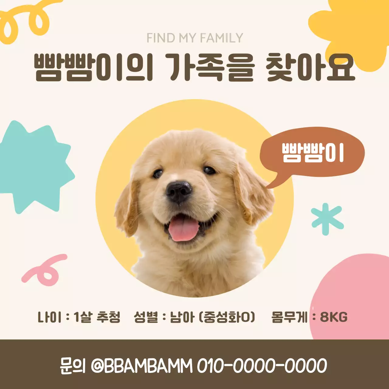 유기견 입양 공지 안내