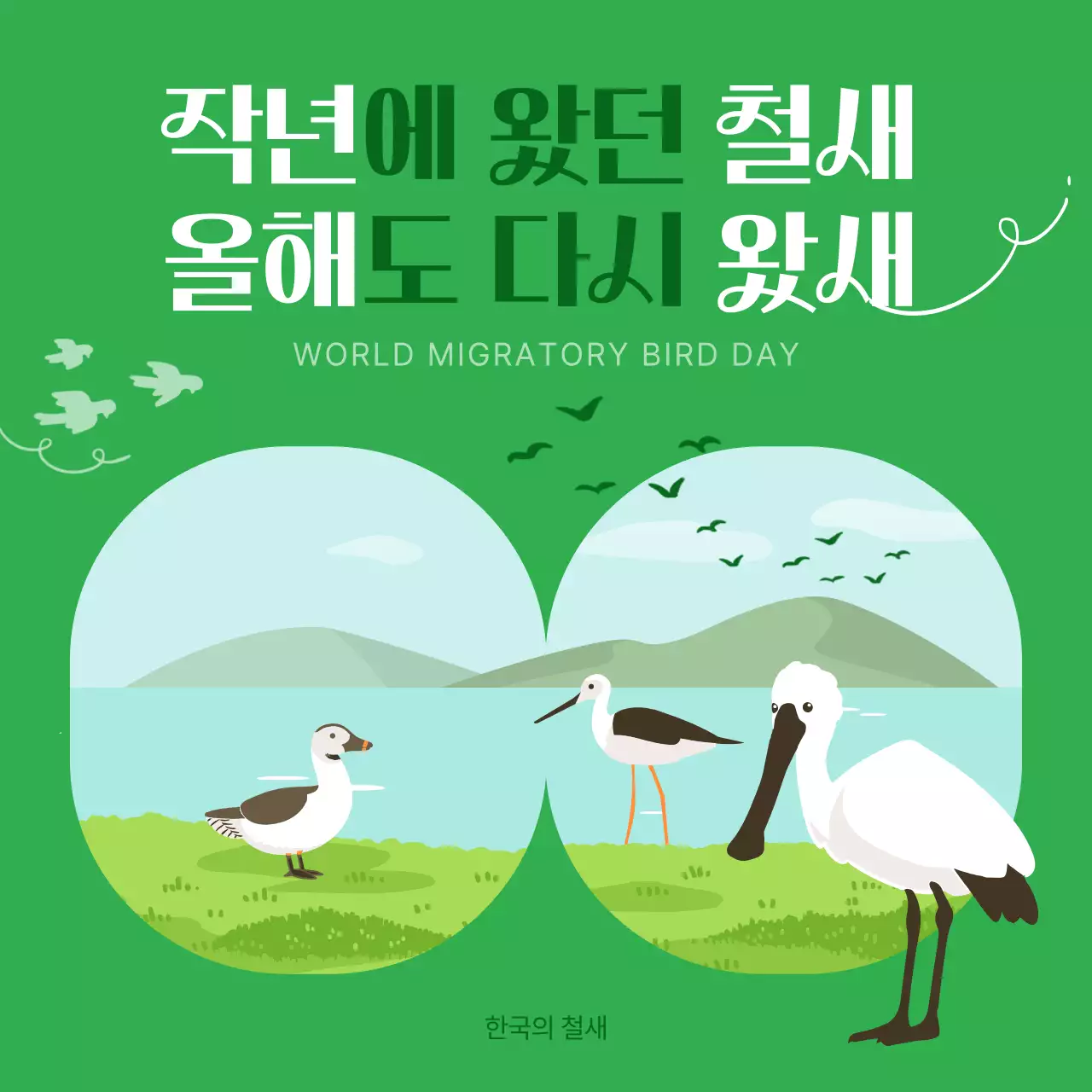 초록색의 심플한 한국의 철새 안내서