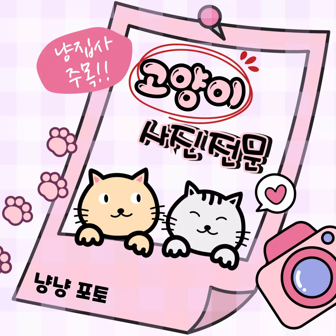 핑크 분홍색 배경의 일러스트 컨셉의 귀여운 고양이 사진관 포토 광고