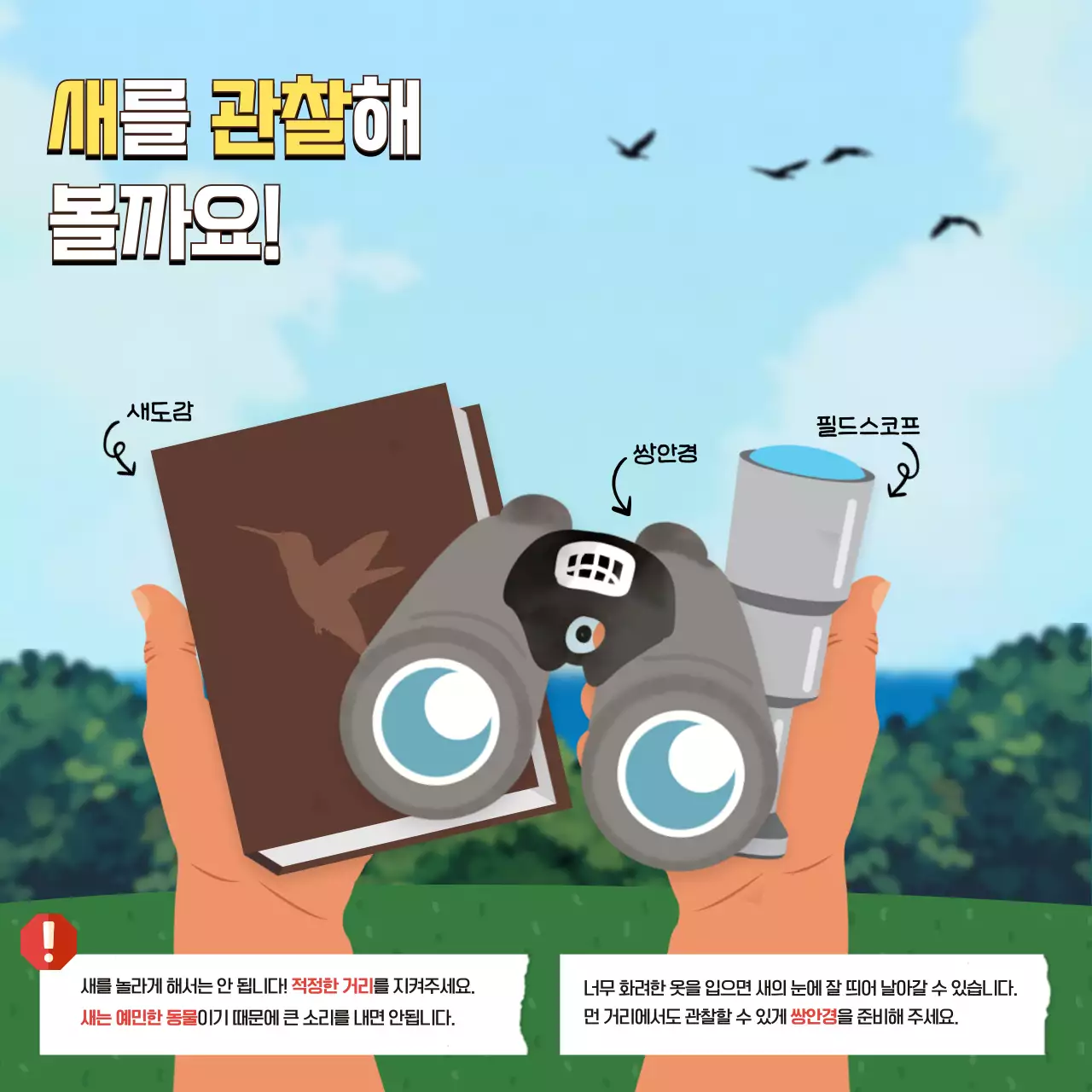 초록색과 하늘색의 트로피칼한 10월 세계 철새의 날 교육자료