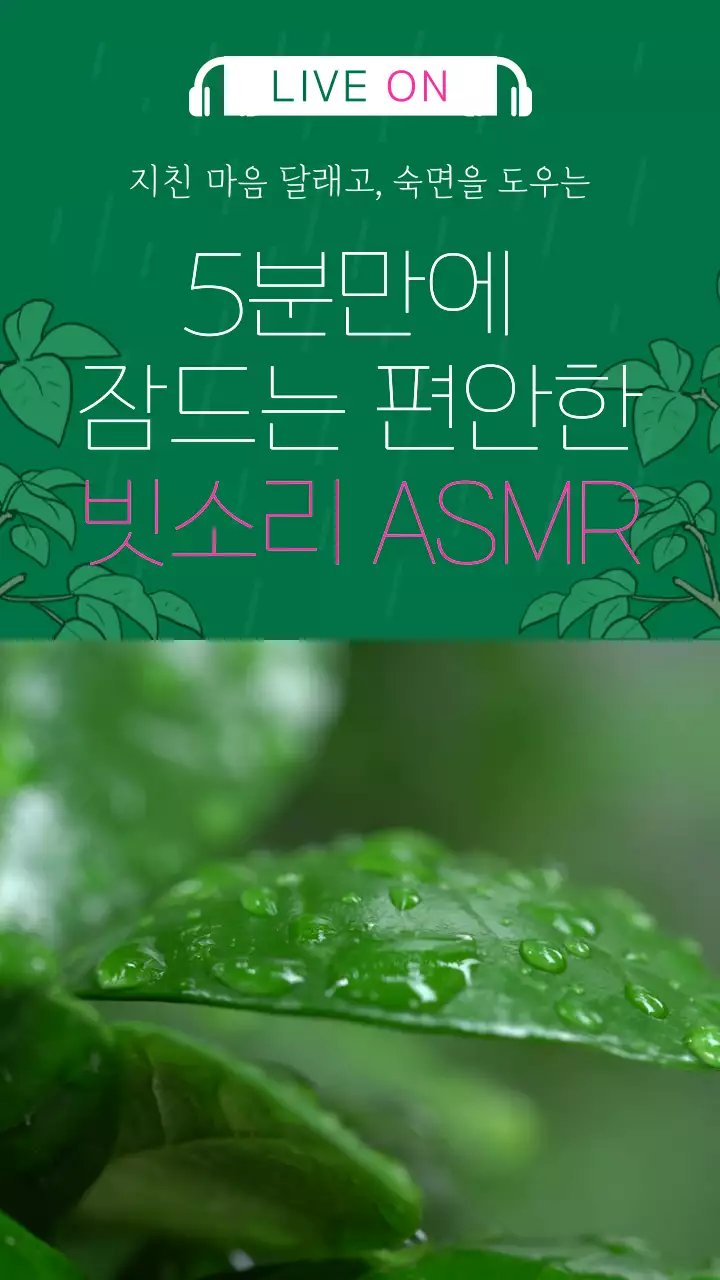초록색과 핑크색의 심플한                                       빗소리 ASMR