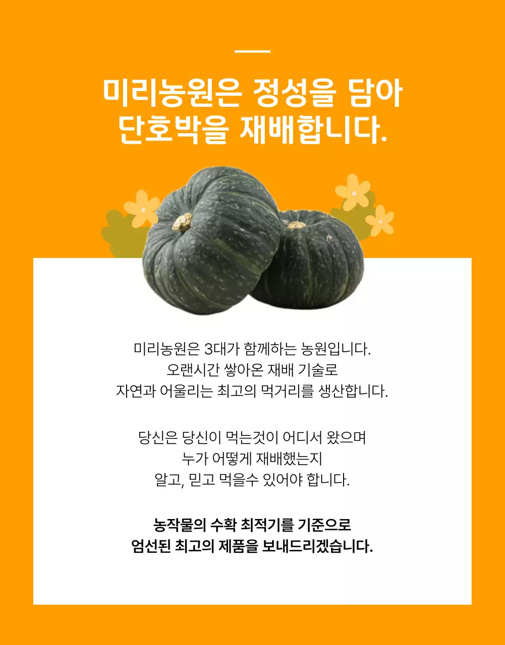 단호박 농산물 식품 상세페이지