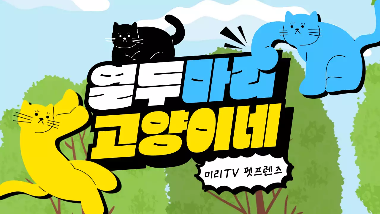 하늘색과 초록색 자연배경에 컬러풀한 고양이가 강조된 인트로 로고 제안서