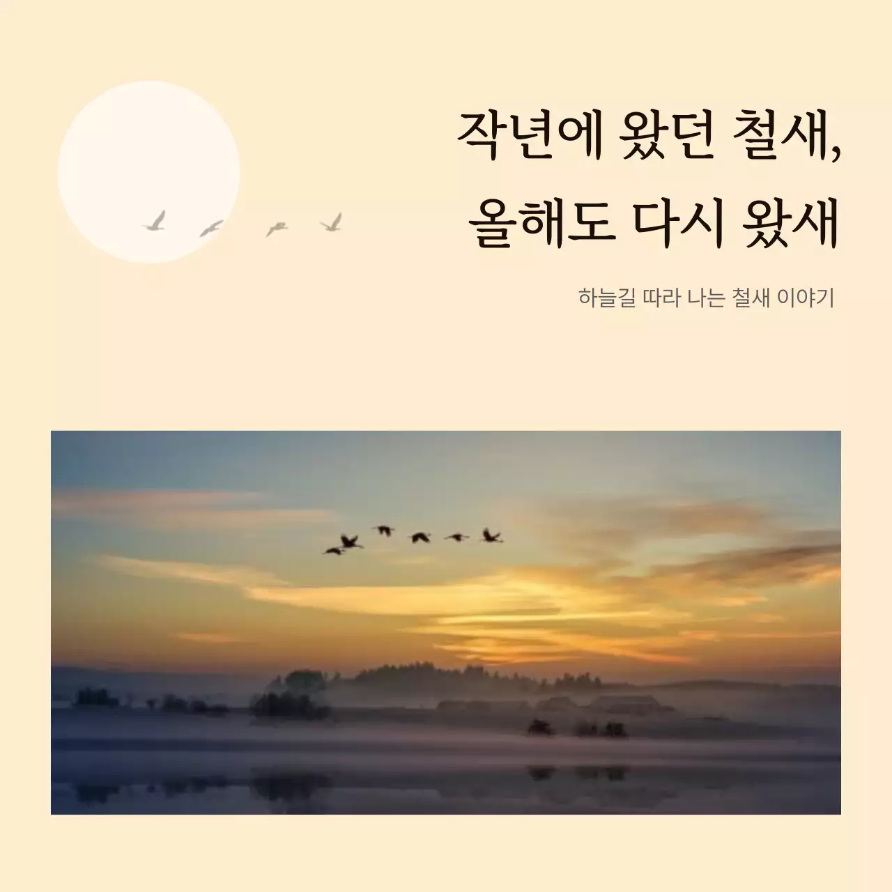 노란색과 주황색의 심플한 철새 안내서