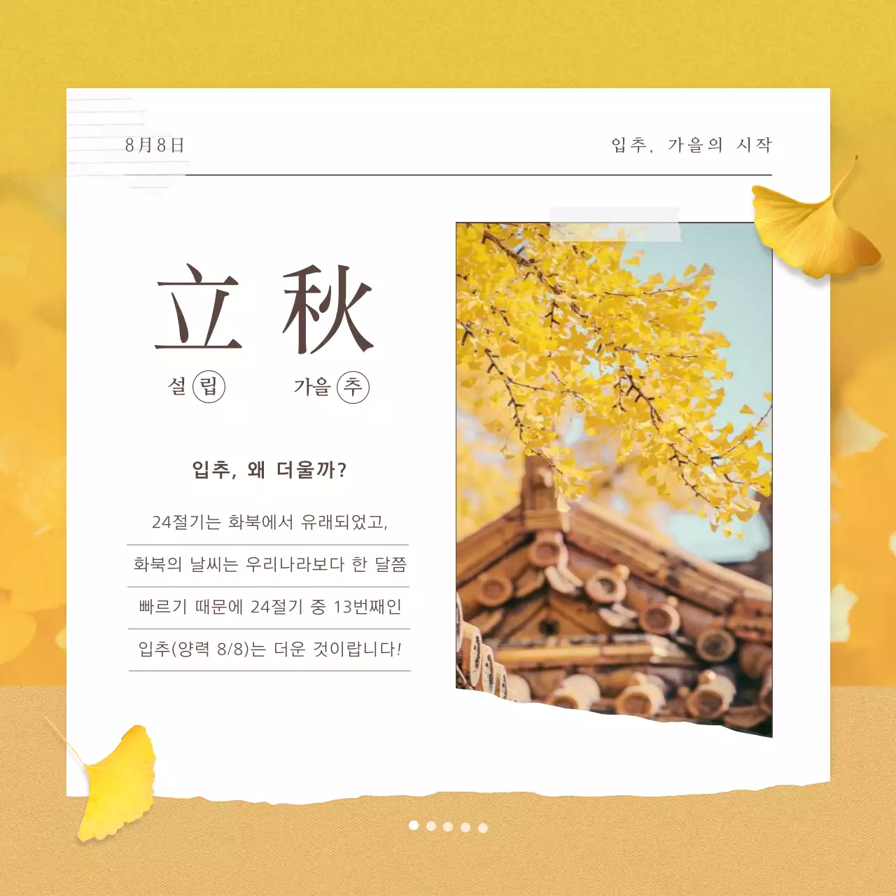 빨강과 노랑의 자연적인 입추 여행 추천 명소 소개