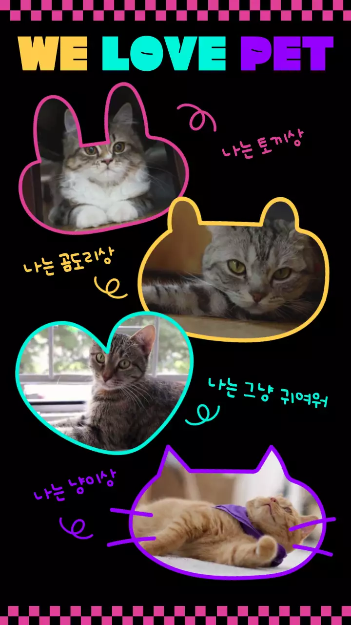 알록달록 귀여운 동물 프레임 컨셉의 인생네컷 