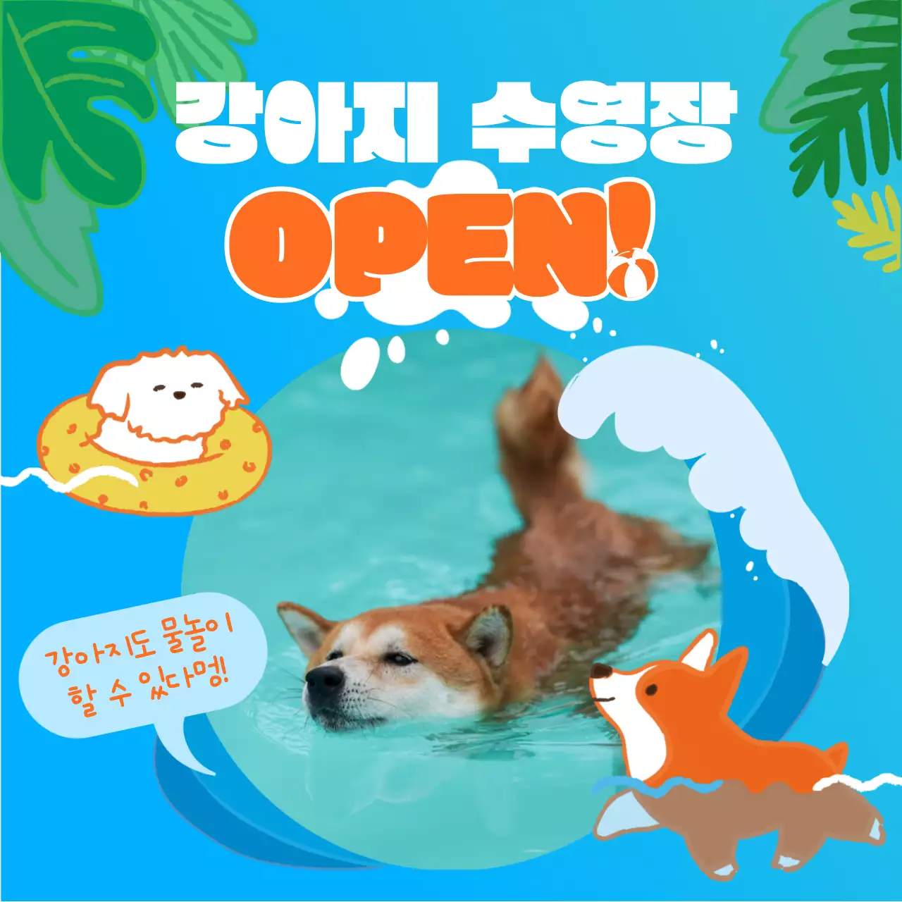 (프리미엄) 물놀이 일러스트 하늘색 귀여운 컨셉의 강아지 수영장 홍보 (인스타그램 새 피드 게시물)