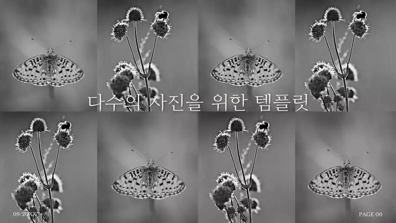 혹백의 단순한 사진 콜라주 제안서