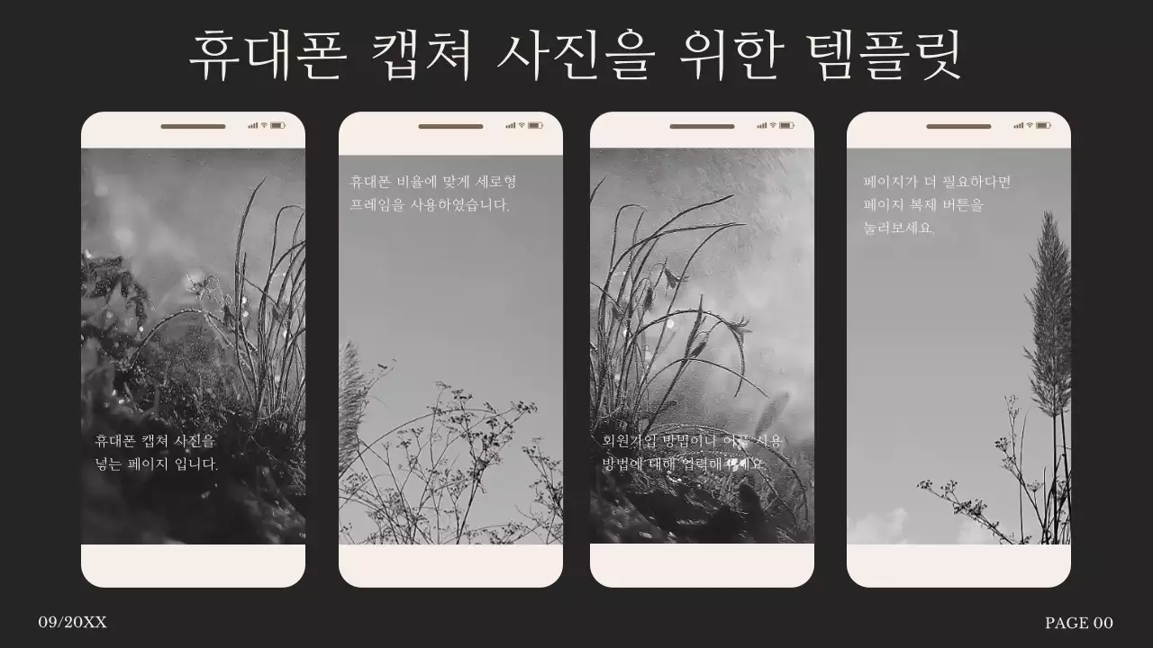 혹백의 단순한 사진 콜라주 제안서