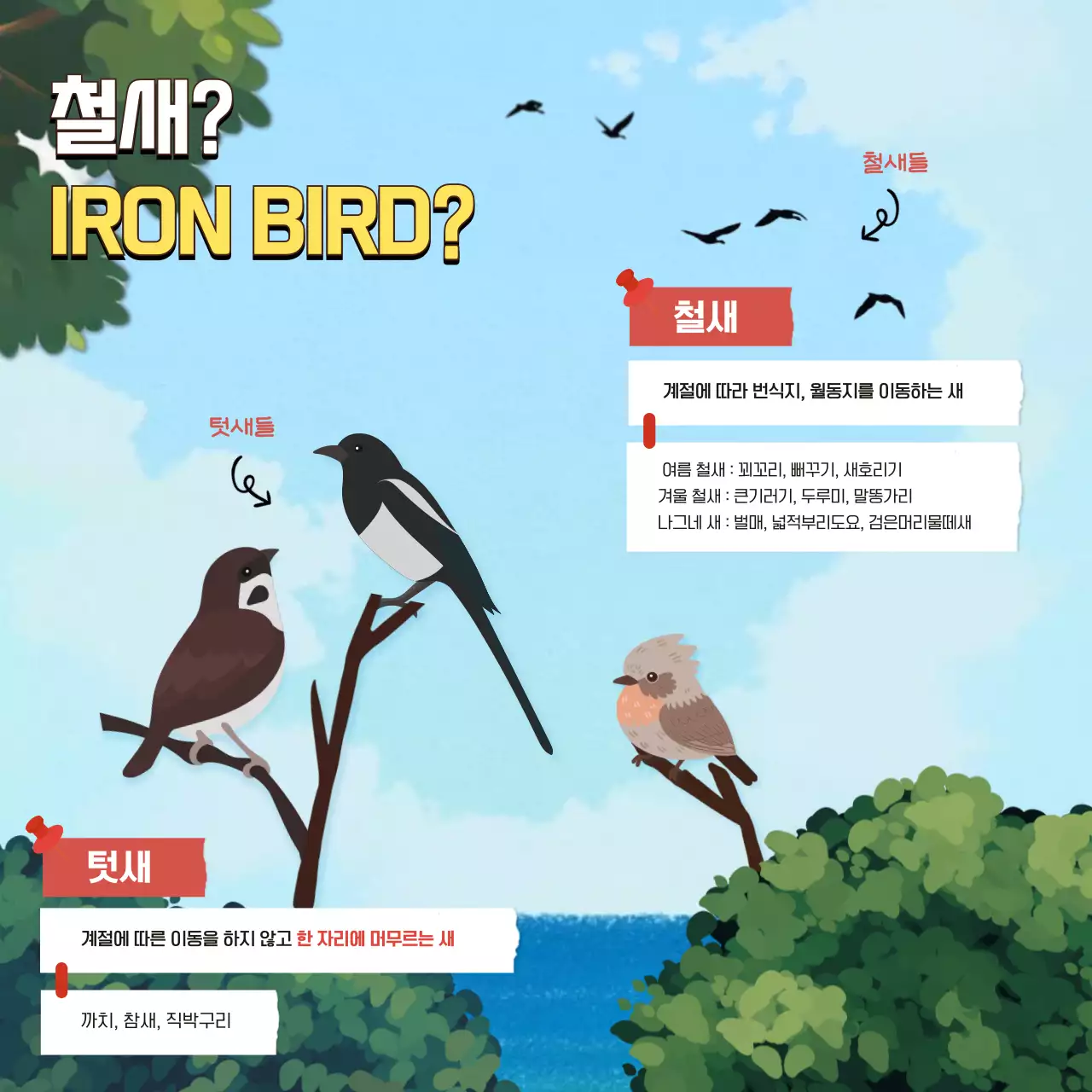 초록색과 하늘색의 트로피칼한 10월 세계 철새의 날 교육자료