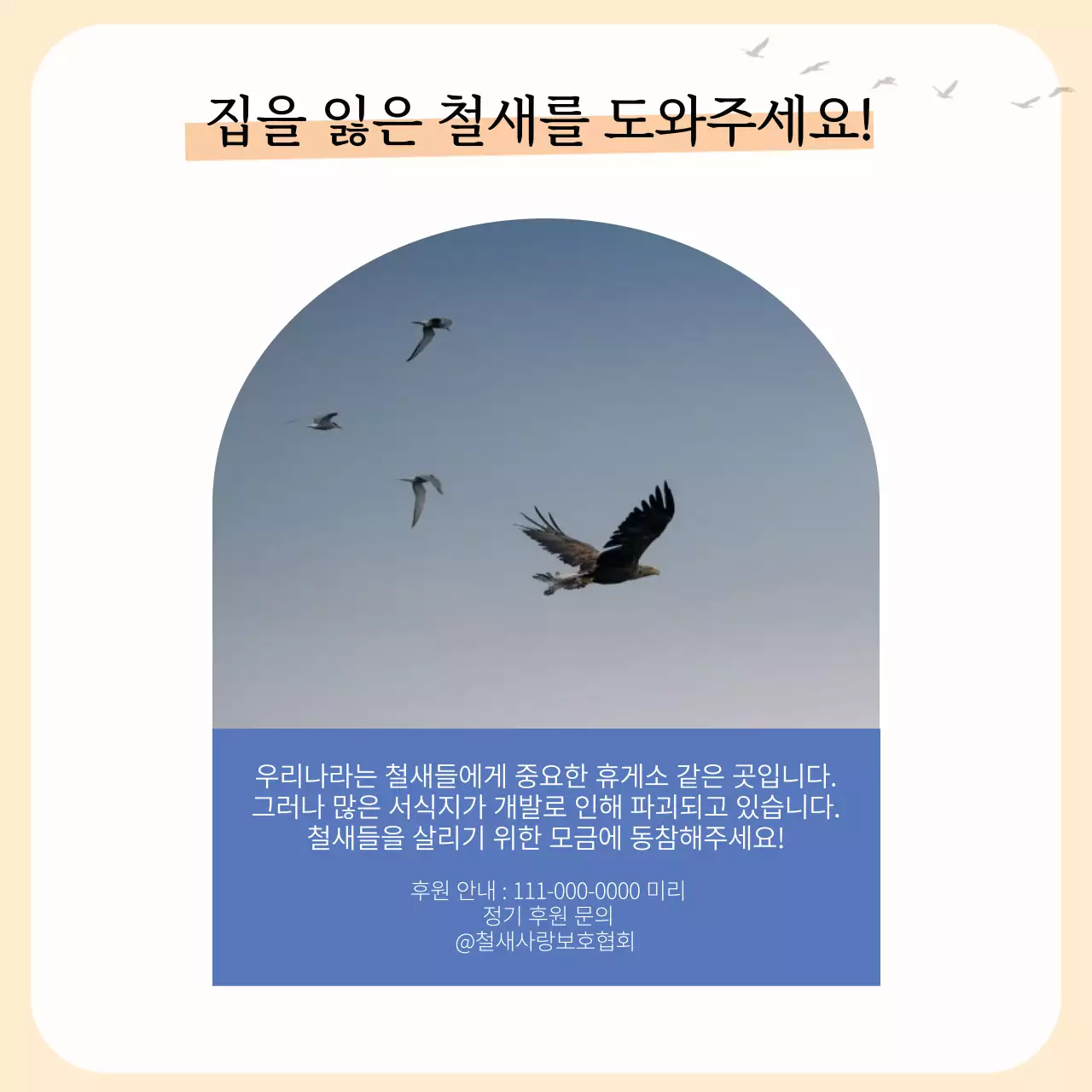 노란색과 주황색의 심플한 철새 안내서