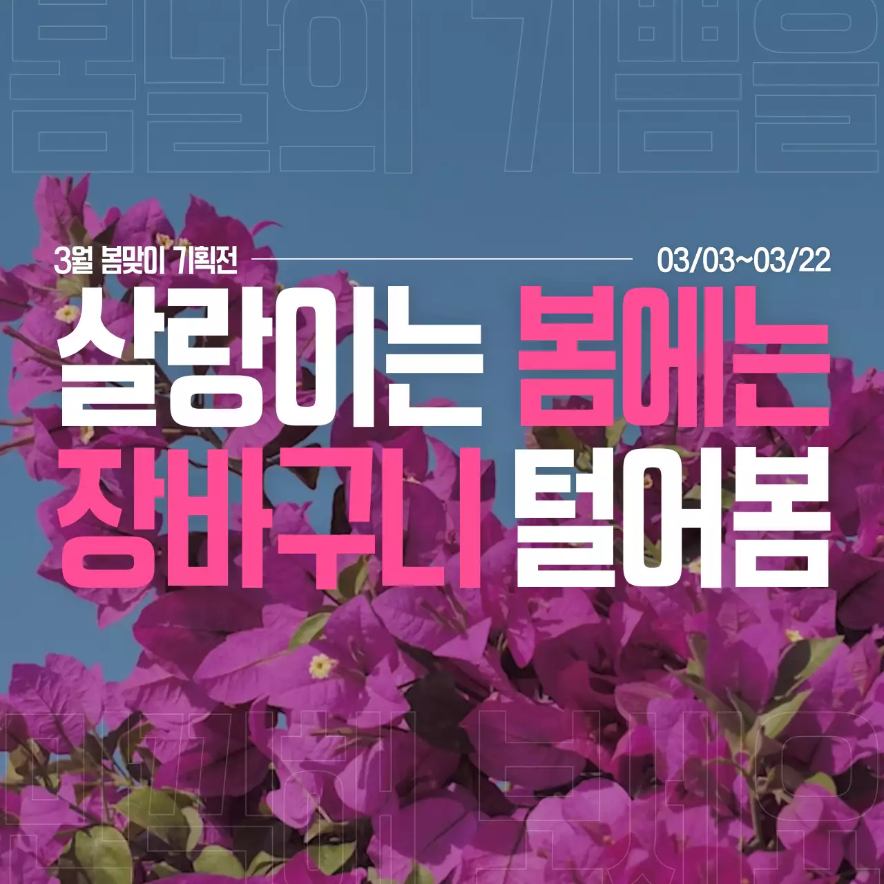 핑크 팝 봄맞이 기획전 행사