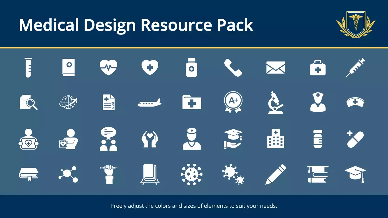 Blue Professional Nursing Guide Presentation