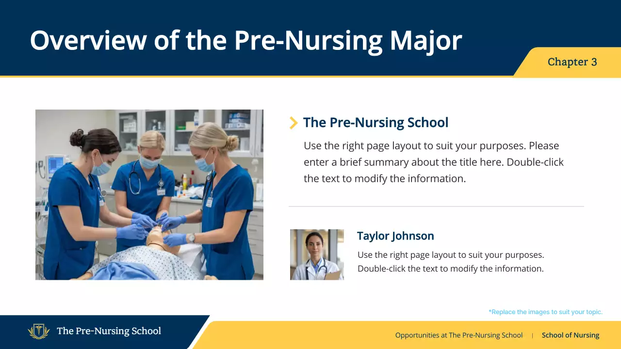 Blue Professional Nursing Guide Presentation