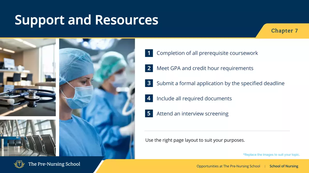 Blue Professional Nursing Guide Presentation