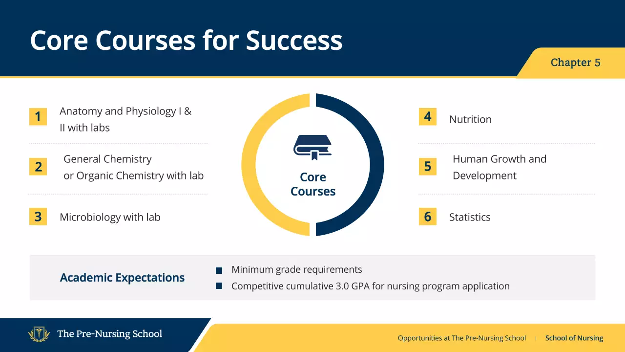Blue Professional Nursing Guide Presentation