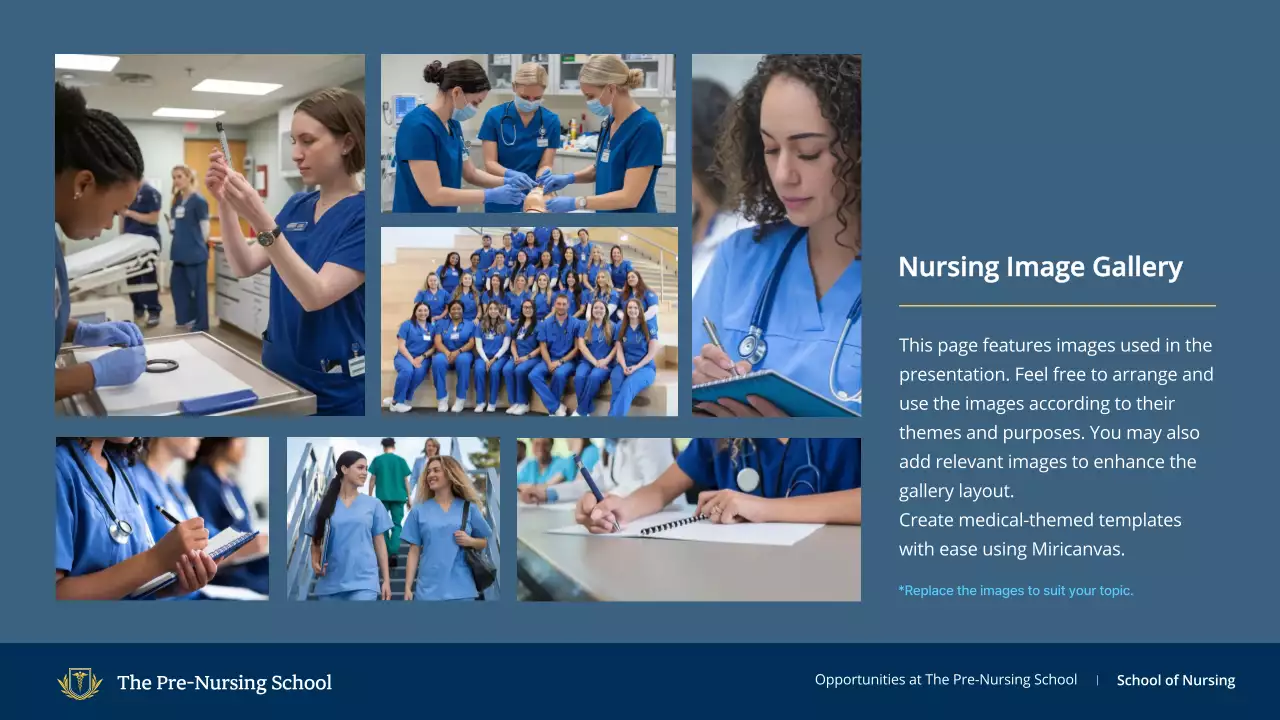 Blue Professional Nursing Guide Presentation