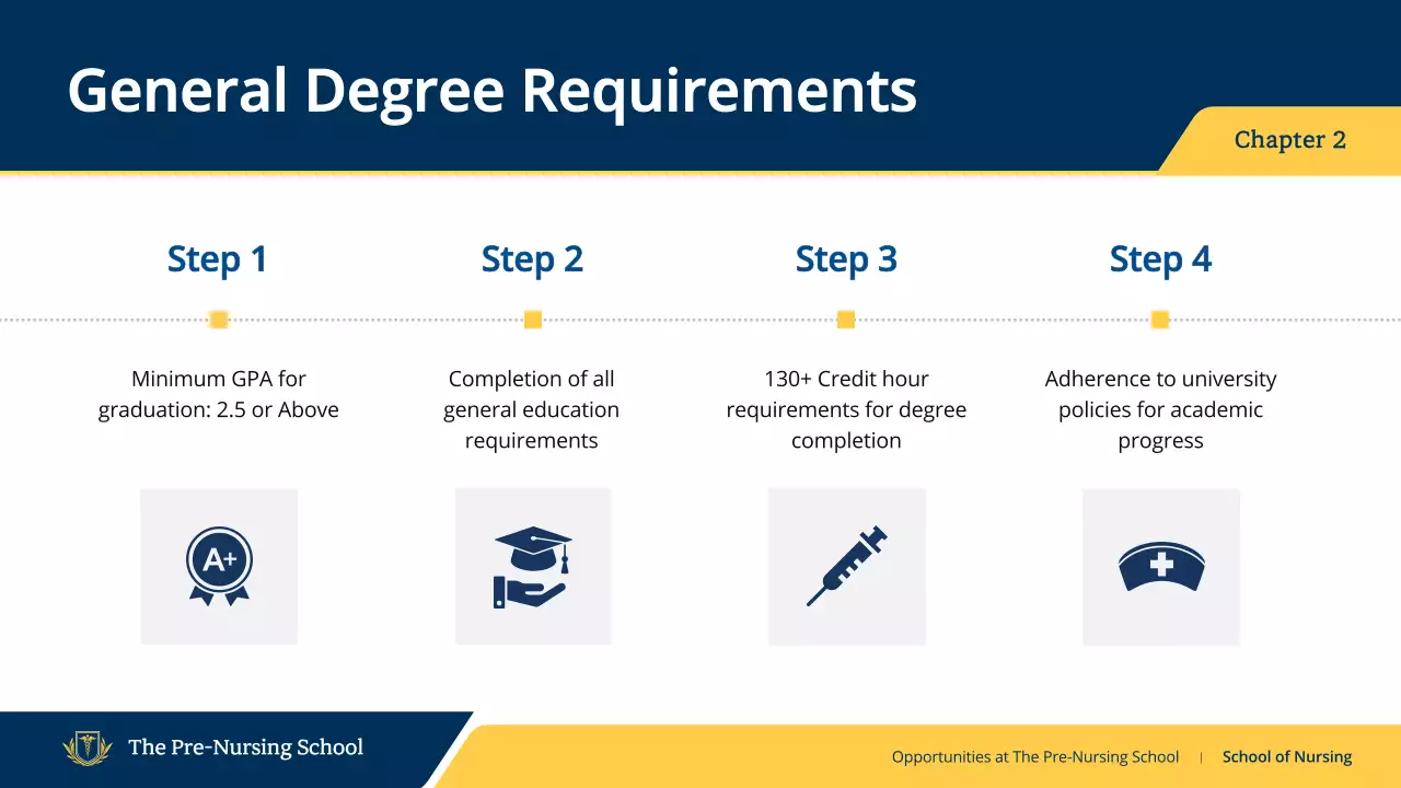 Blue Professional Nursing Guide Presentation