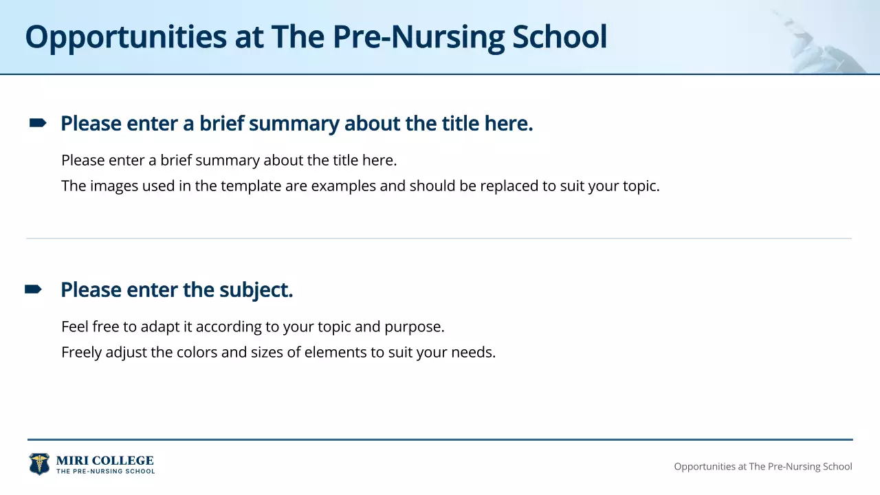 Blue Professional Nursing Guide Presentation