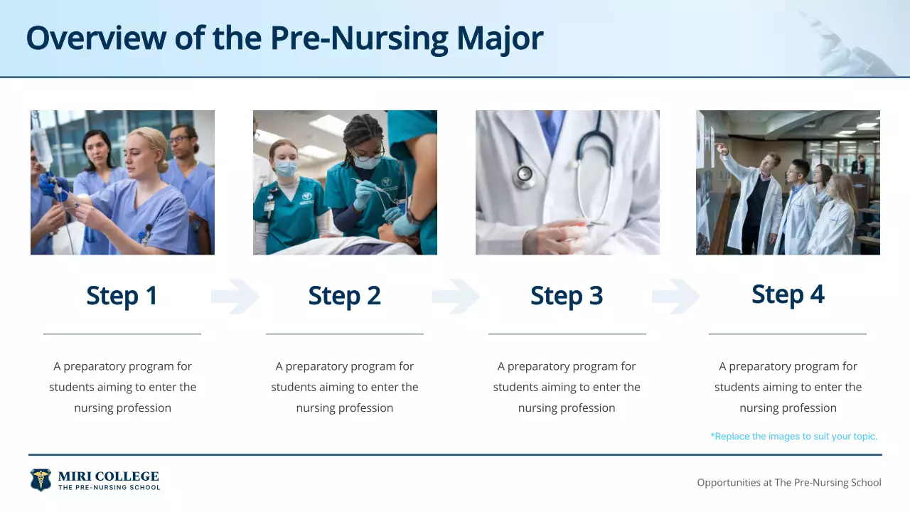 Blue Professional Nursing Guide Presentation