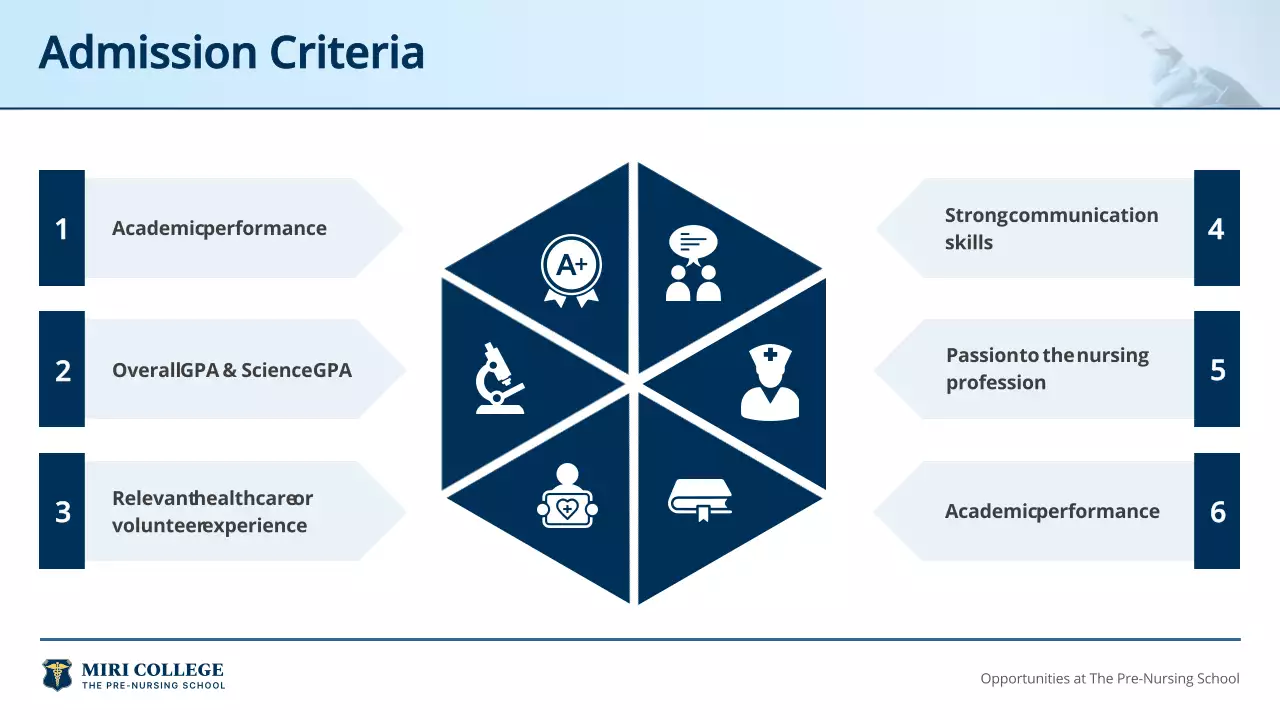Blue Professional Nursing Guide Presentation