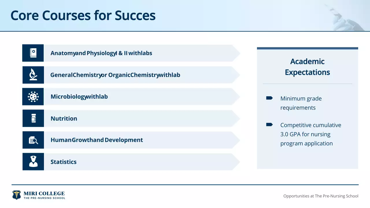 Blue Professional Nursing Guide Presentation