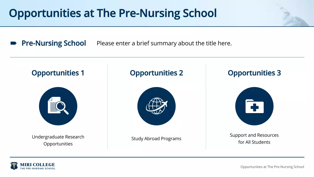 Blue Professional Nursing Guide Presentation