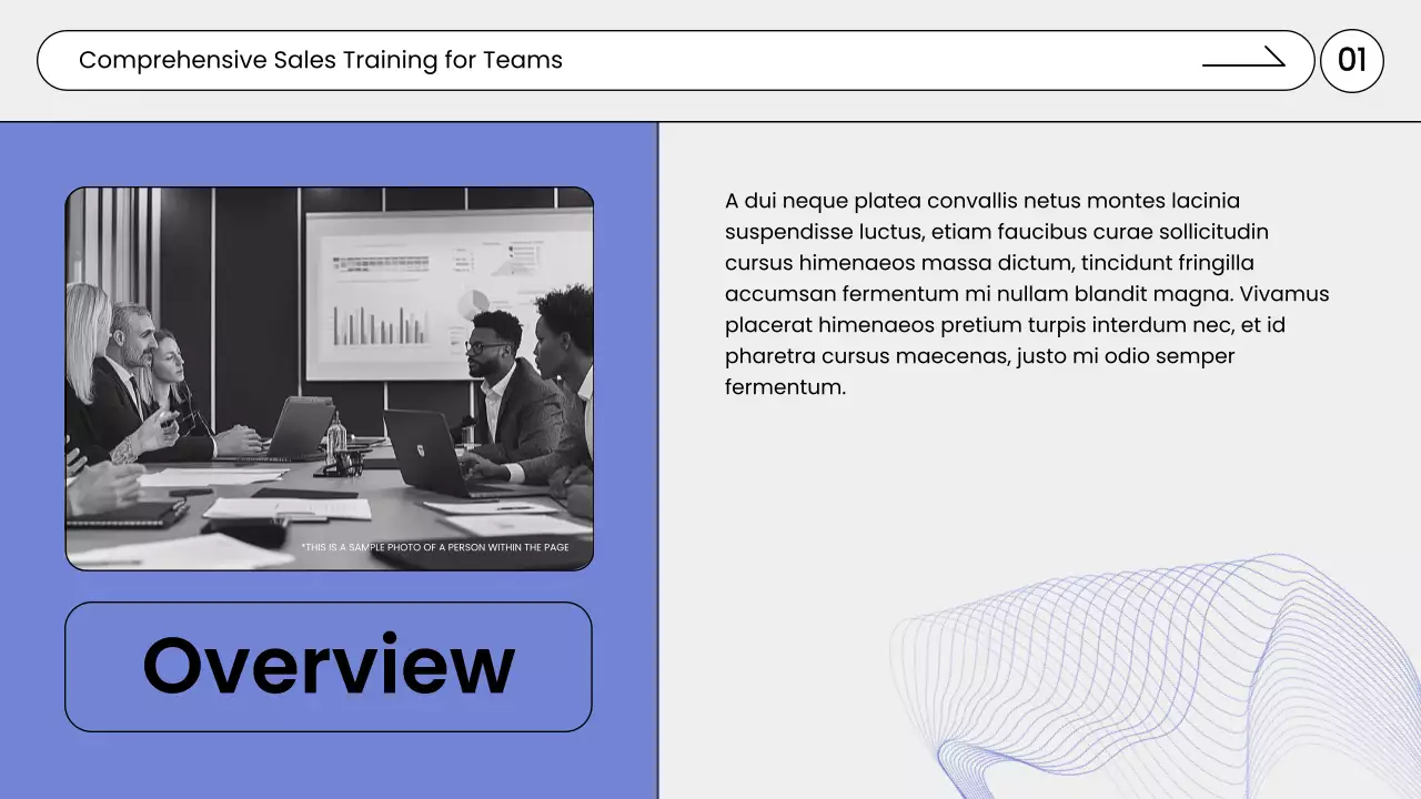 Blue Professional Sales Guide Presentation