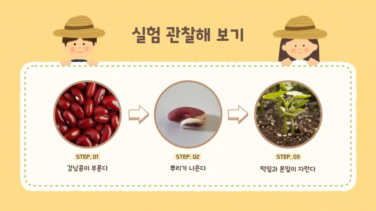 베이지 아기자기한 식물 교육 자료