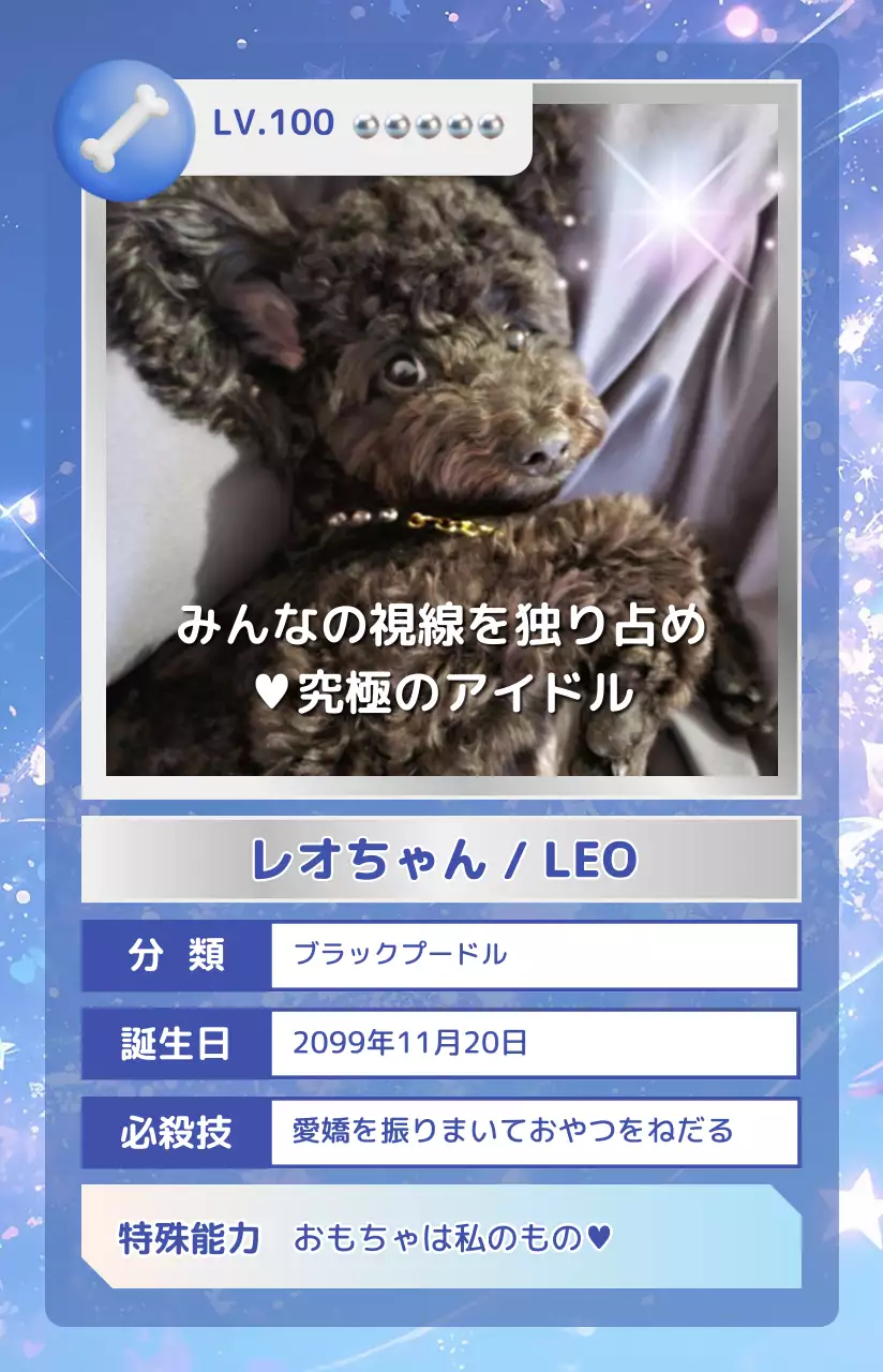 紫 オシャレ グッズ ペット トレカ