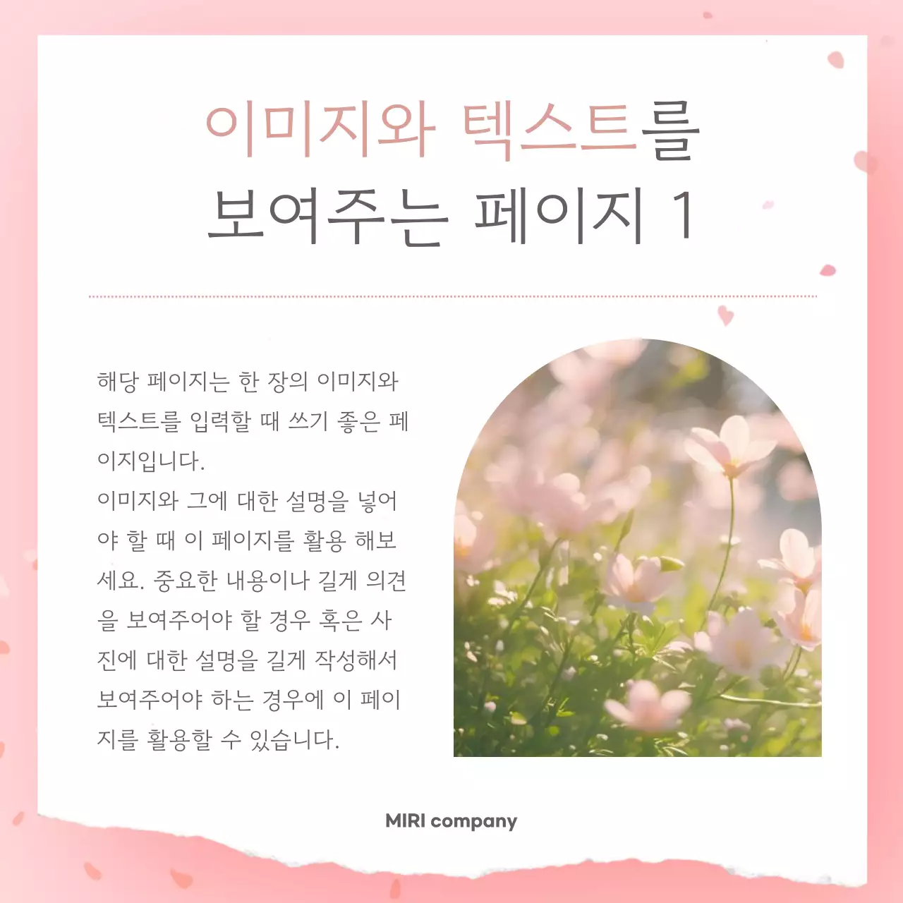 핑크 심플 봄 엽서