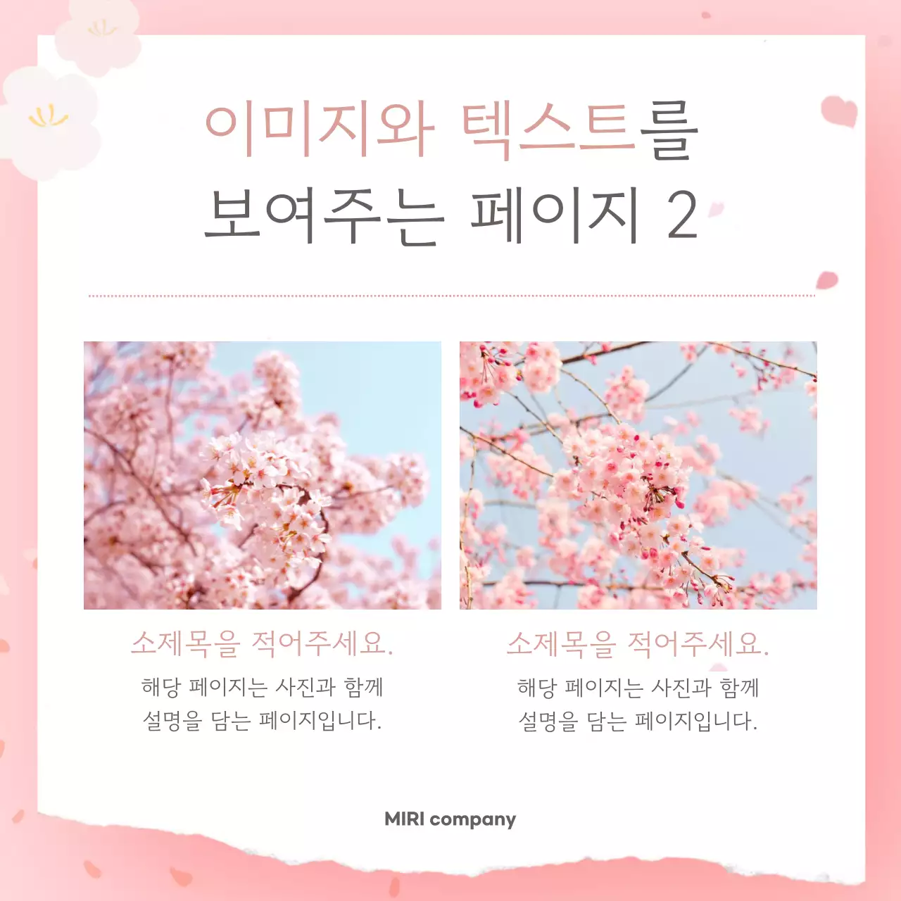 핑크 심플 봄 엽서