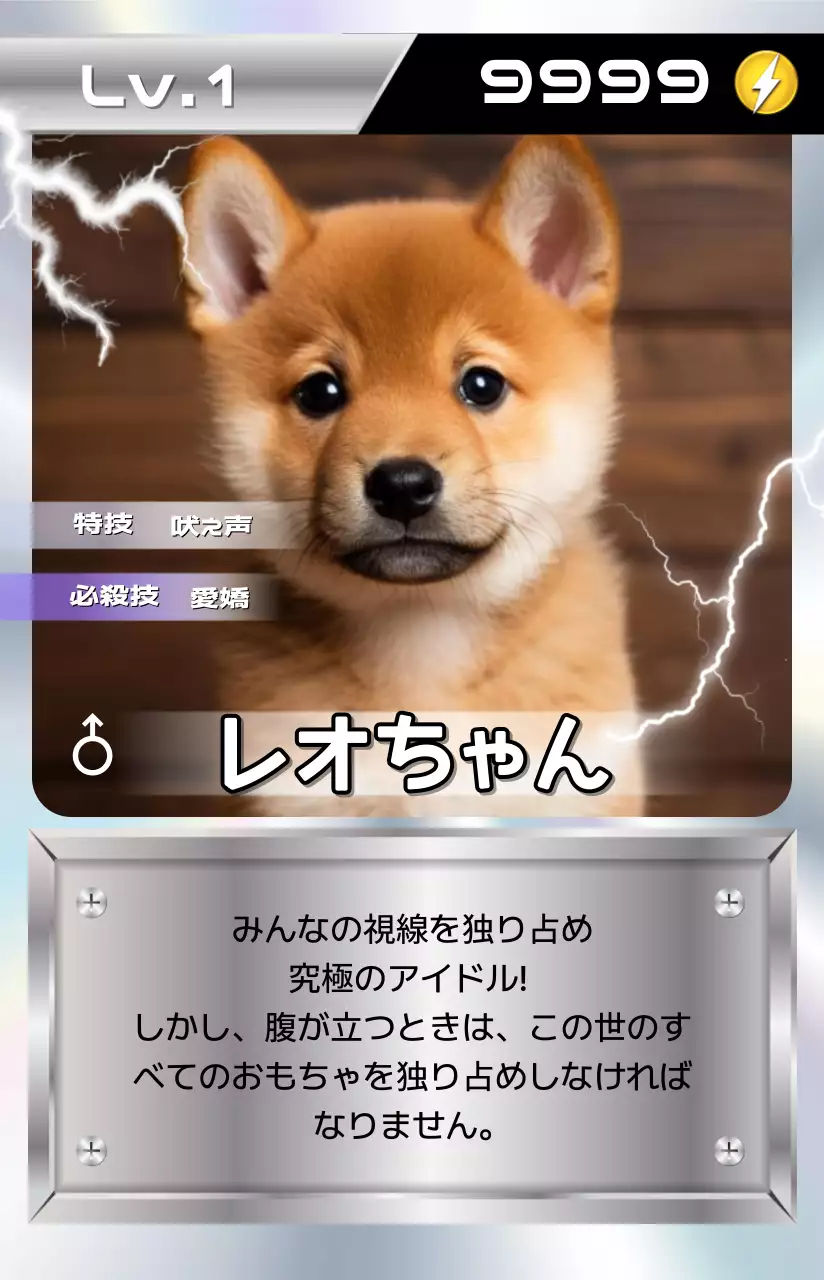 シルバー 面白い ペット グッズ カード