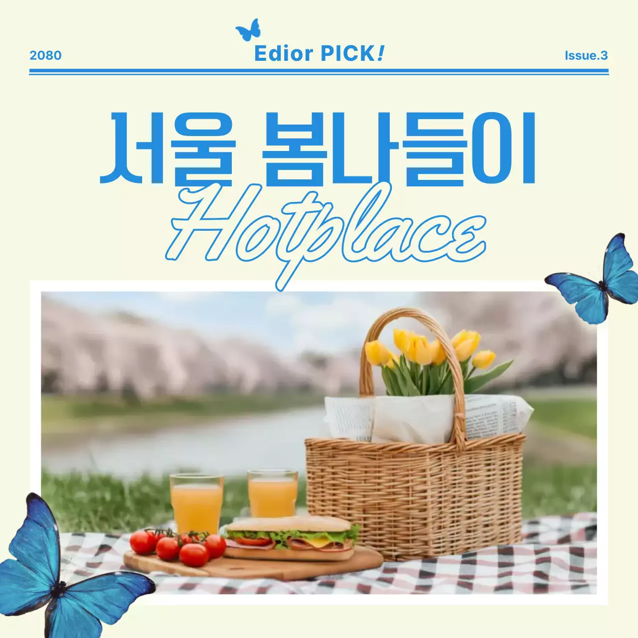 베이지 모던 피크닉 홍보