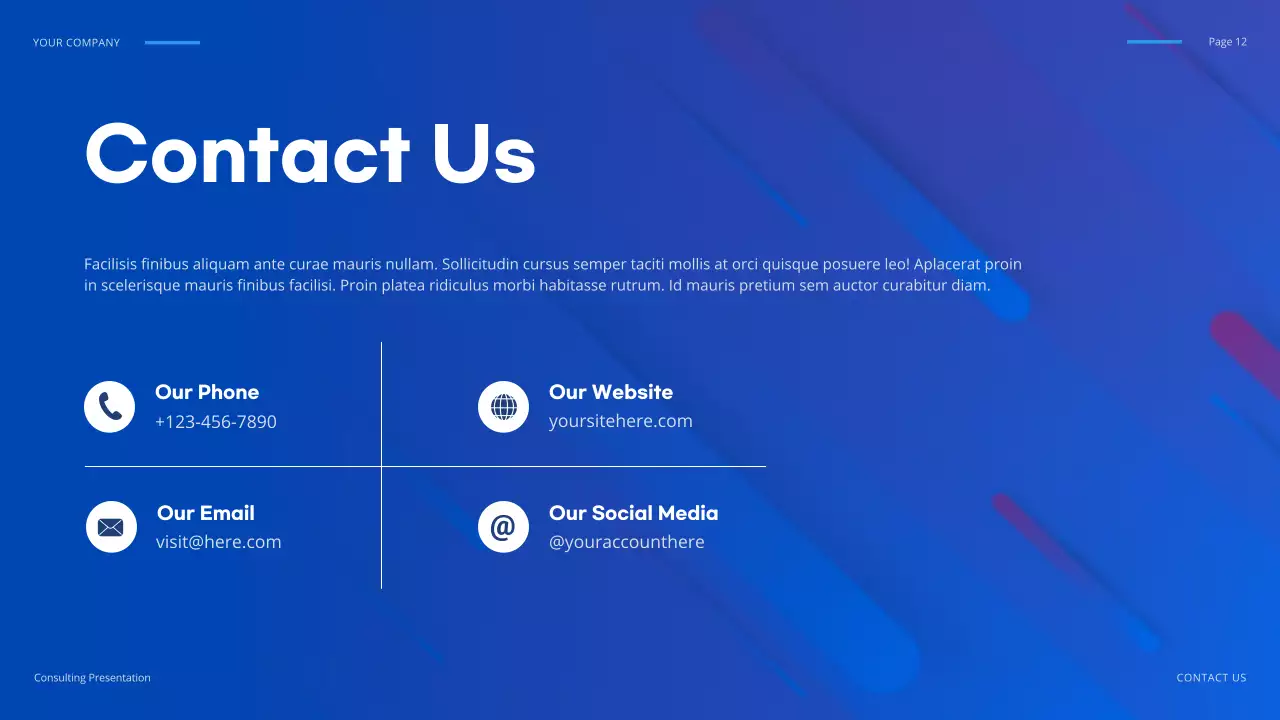 Blue Geometric IT Solution Presentation