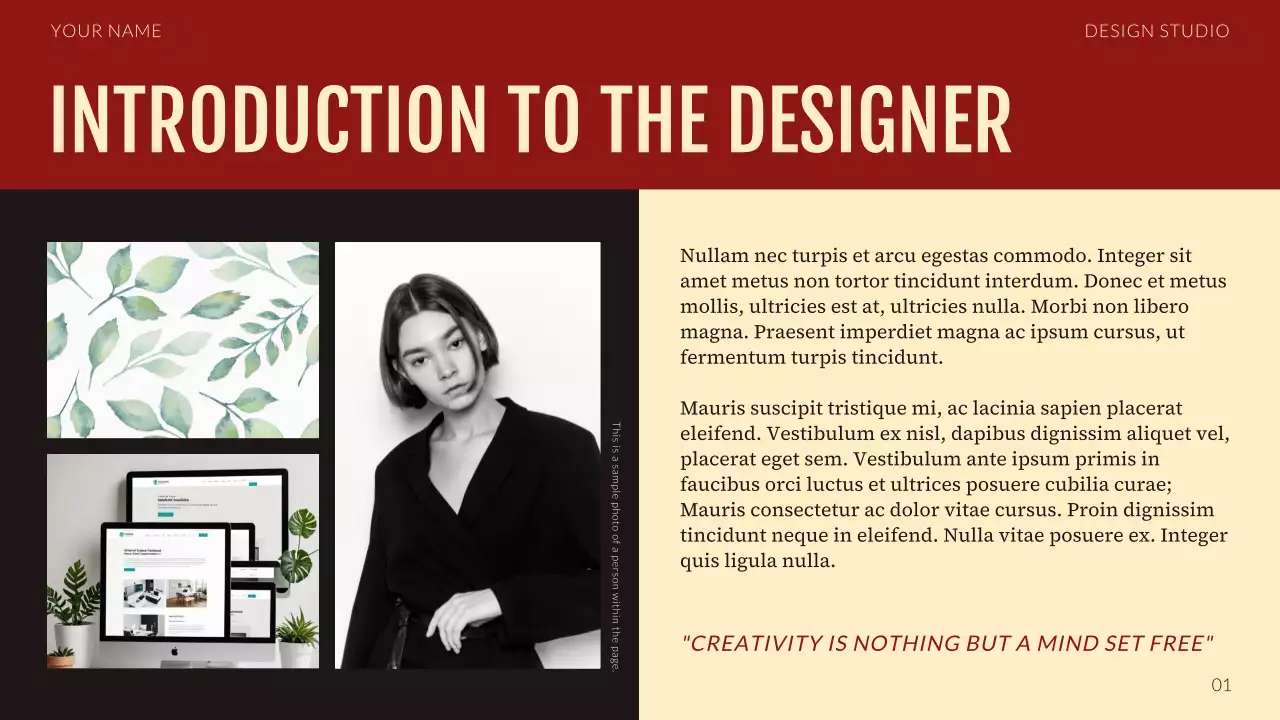 Red Professional Design Portfolio Presentation