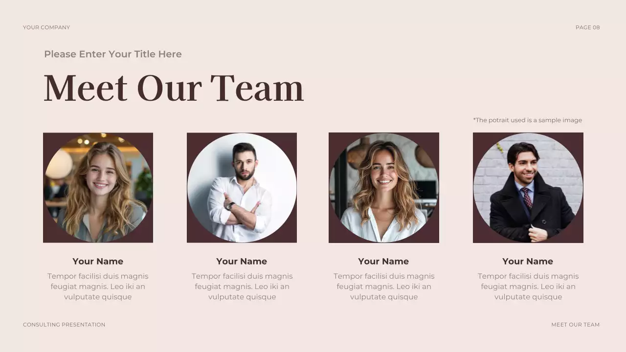 Brown Professional Legal Consulting Presentation