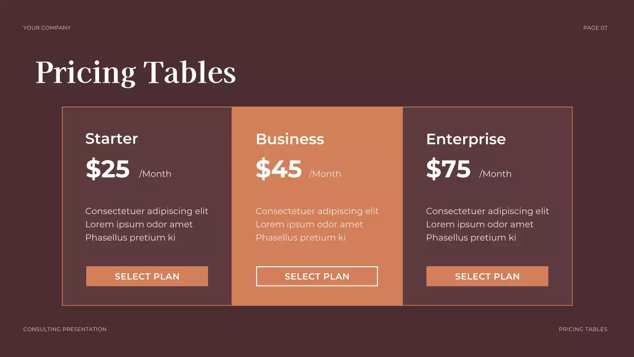 Brown Professional Legal Consulting Presentation