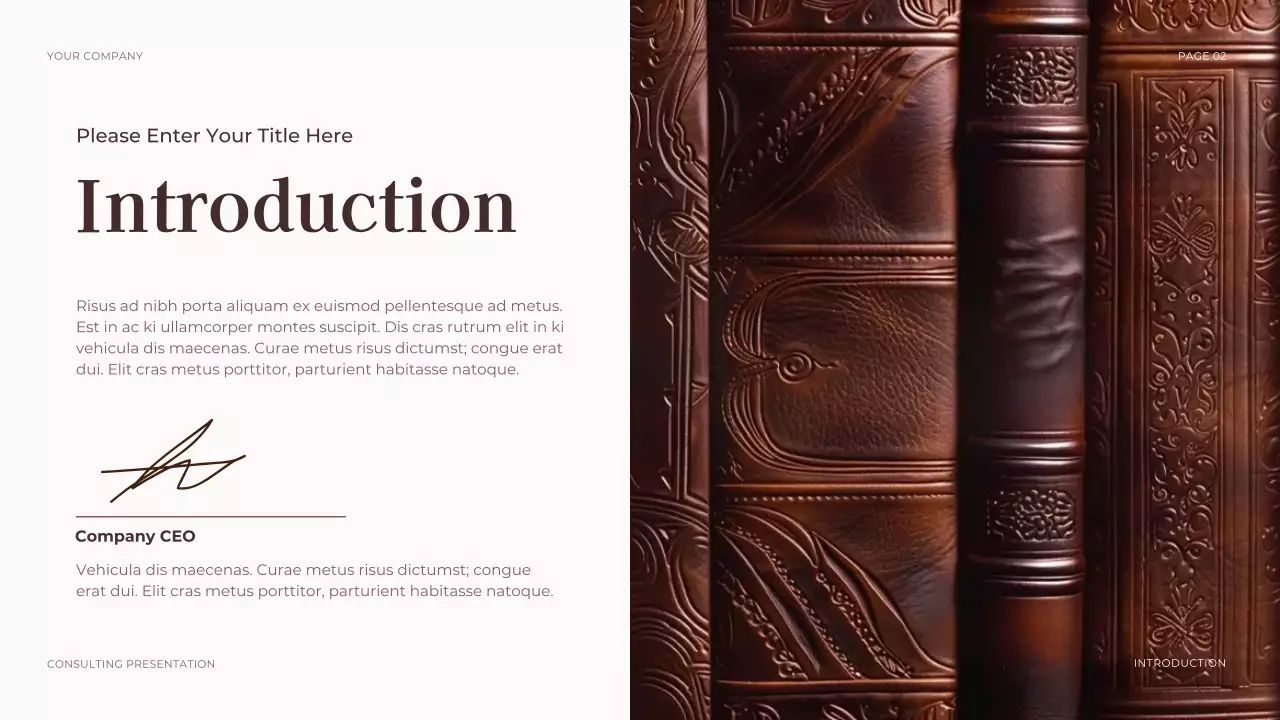 Brown Professional Legal Consulting Presentation