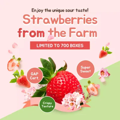 Pink Trendy Strawberries Promotion Social Media Post
