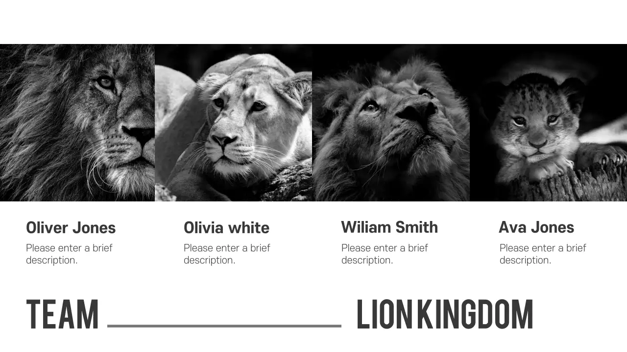 Grey Modern Project Announcement Presentation