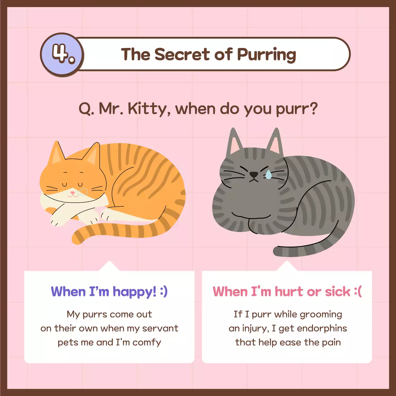 Pink Trendy Cat Guide Instagram Carousel