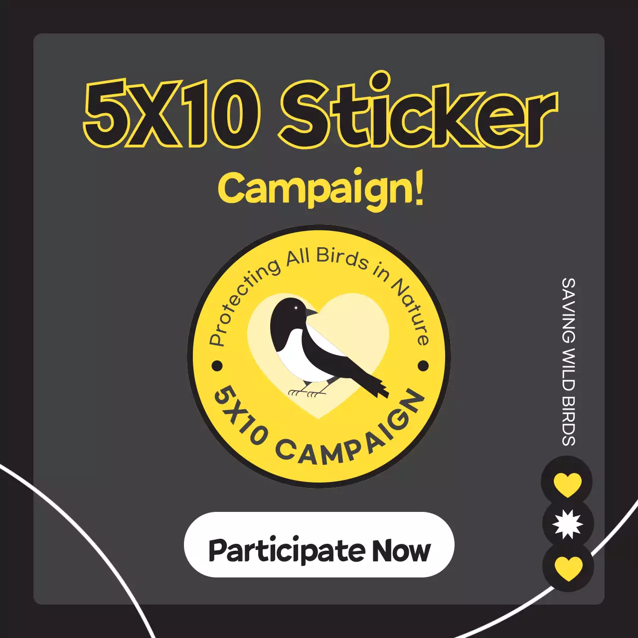 Get a simple wild bird in black and yellow